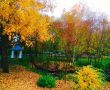 Herbst-in-Eicherloh--Bild-5.jpg