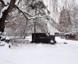 Winter-in-Eicherloh-Bild-4.jpg